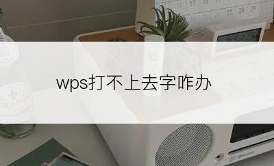 wps打不上去字咋办