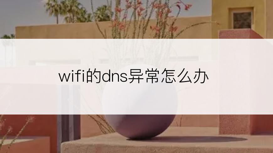 wifi的dns异常怎么办