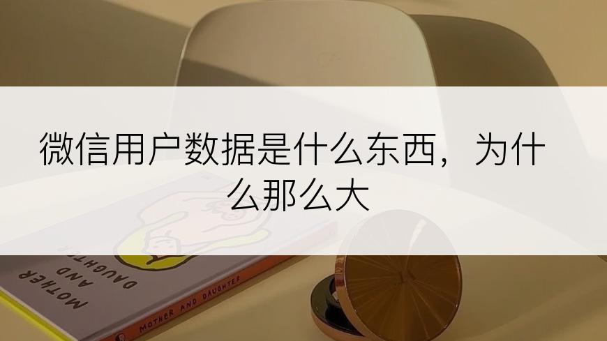 微信用户数据是什么东西，为什么那么大