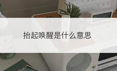 抬起唤醒是什么意思