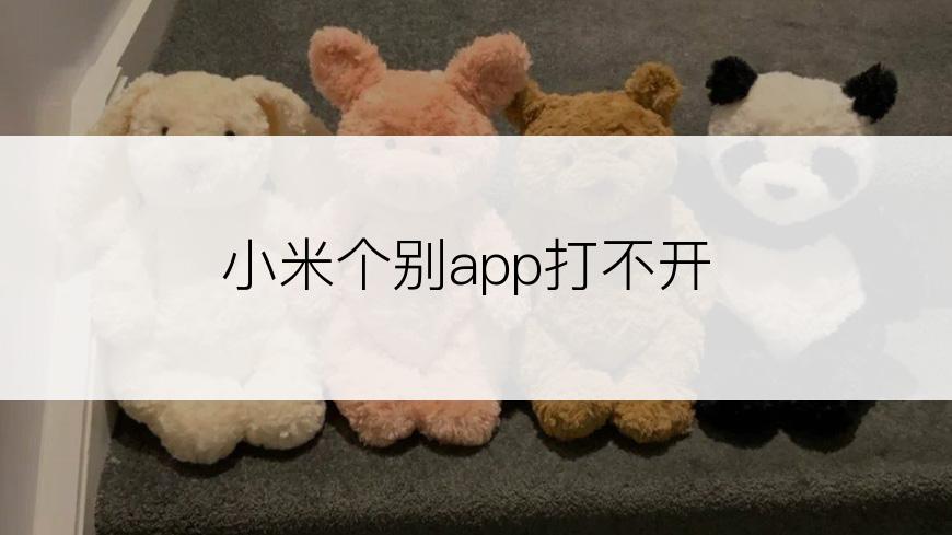 小米个别app打不开