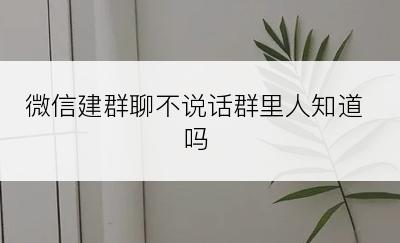 微信建群聊不说话群里人知道吗