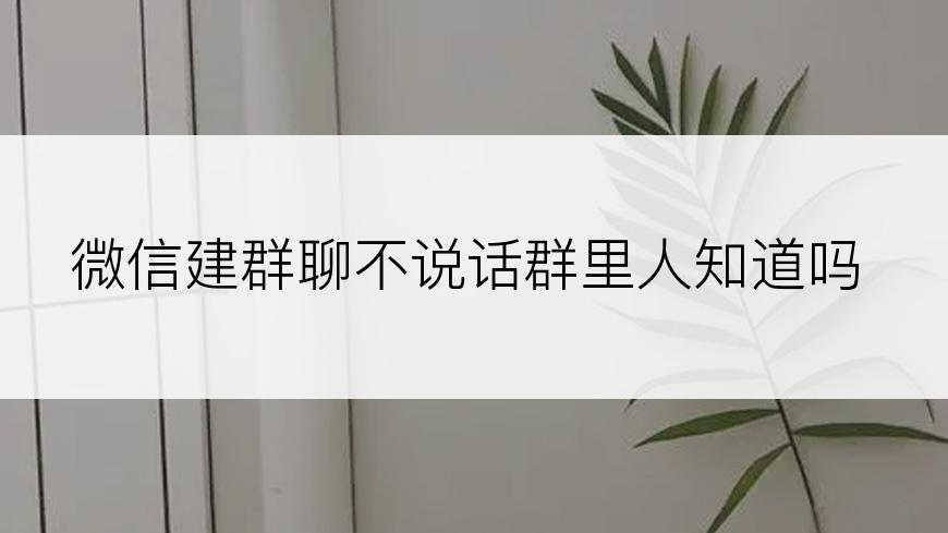 微信建群聊不说话群里人知道吗