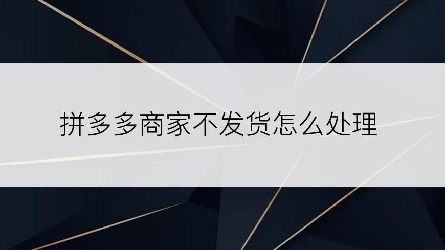 拼多多商家不发货怎么处理