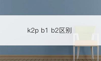 k2p b1 b2区别