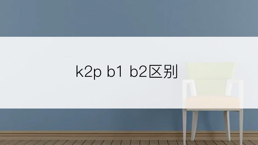 k2p b1 b2区别