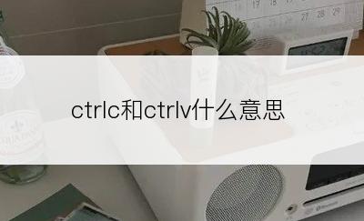 ctrlc和ctrlv什么意思