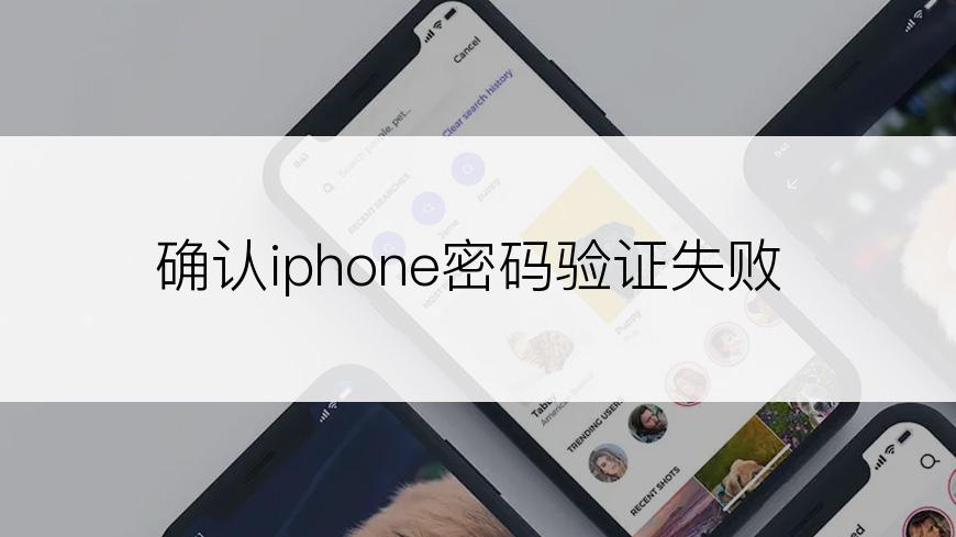 确认iphone密码验证失败