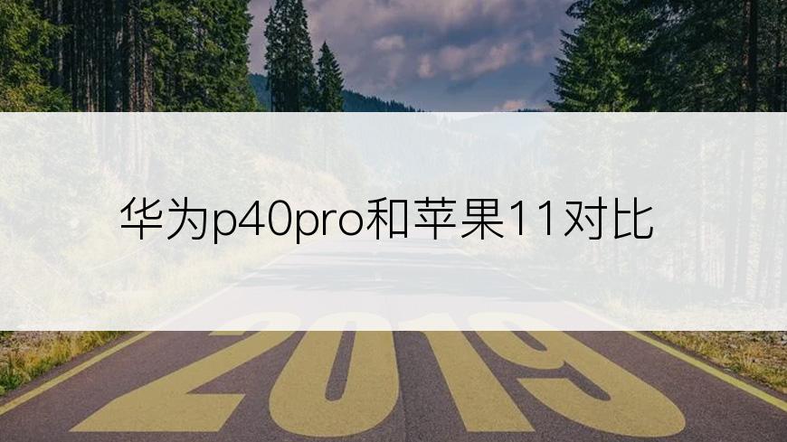 华为p40pro和苹果11对比