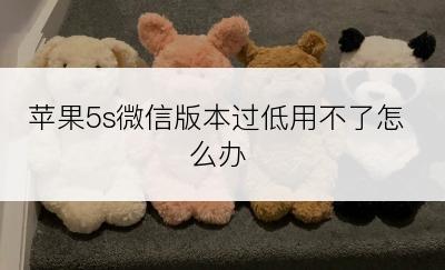 苹果5s微信版本过低用不了怎么办