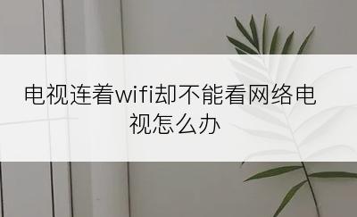 电视连着wifi却不能看网络电视怎么办