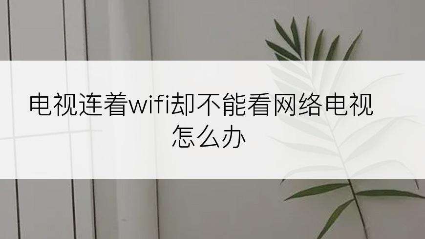 电视连着wifi却不能看网络电视怎么办