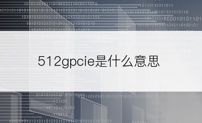 512gpcie是什么意思