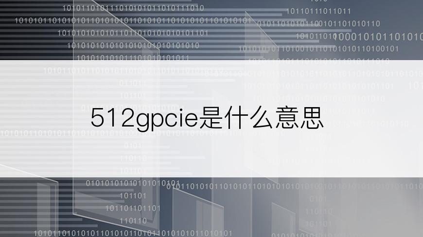 512gpcie是什么意思