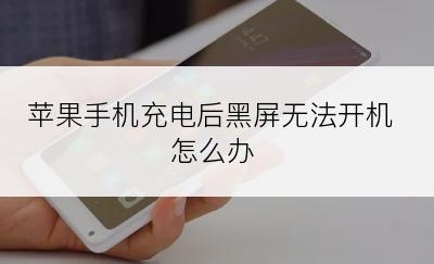 苹果手机充电后黑屏无法开机怎么办