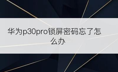 华为p30pro锁屏密码忘了怎么办