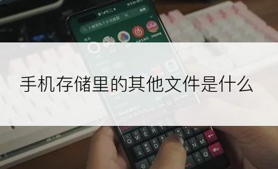 手机存储里的其他文件是什么