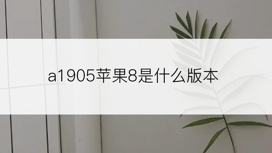 a1905苹果8是什么版本