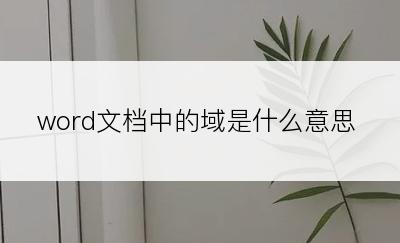 word文档中的域是什么意思