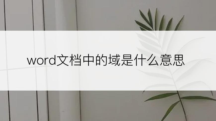 word文档中的域是什么意思