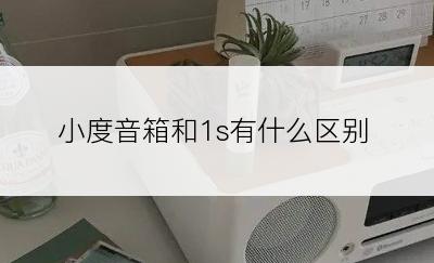 小度音箱和1s有什么区别