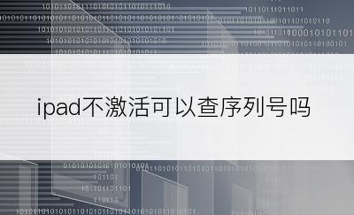 ipad不激活可以查序列号吗