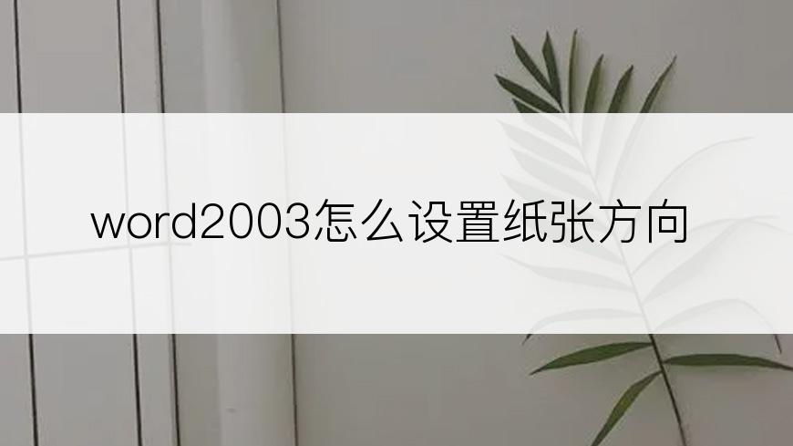 word2003怎么设置纸张方向