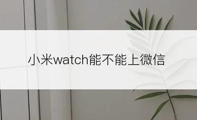 小米watch能不能上微信