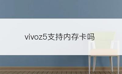 vivoz5支持内存卡吗