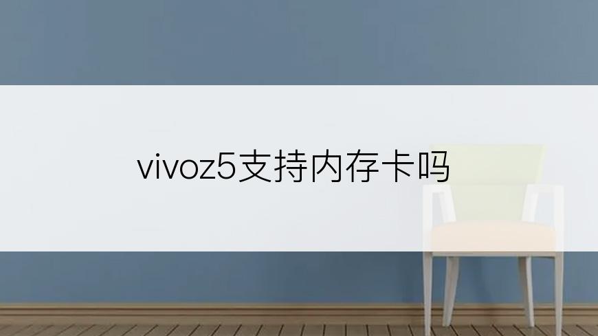 vivoz5支持内存卡吗