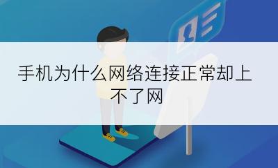 手机为什么网络连接正常却上不了网