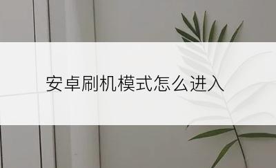 安卓刷机模式怎么进入