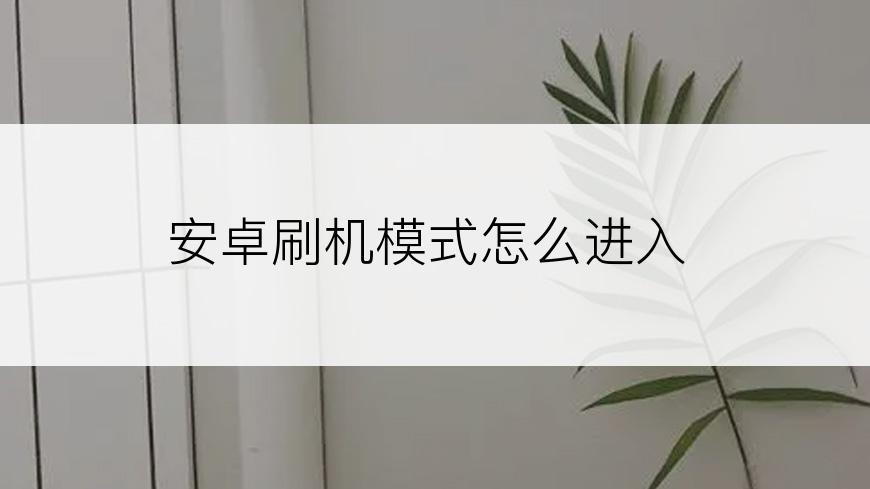 安卓刷机模式怎么进入