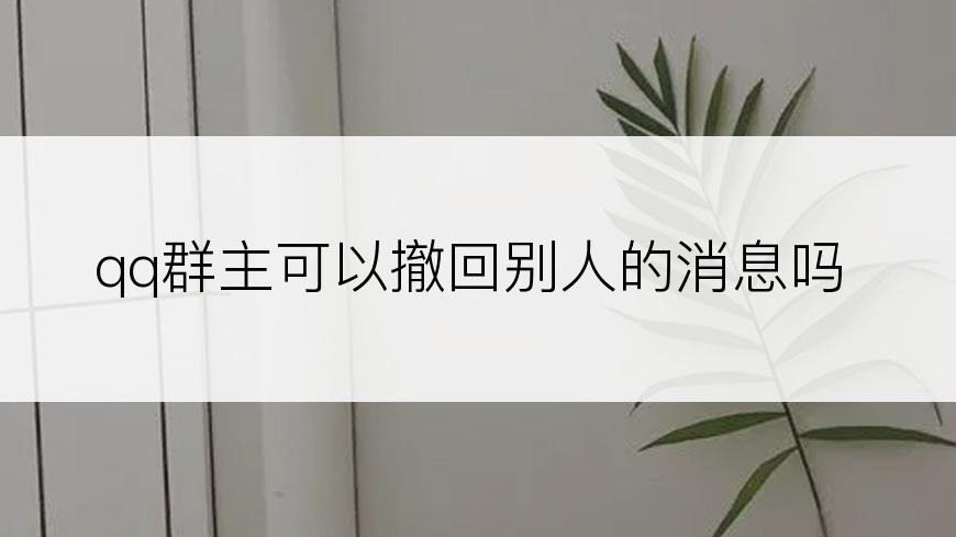 qq群主可以撤回别人的消息吗