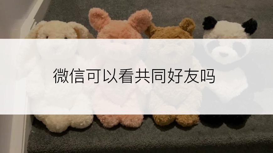 微信可以看共同好友吗