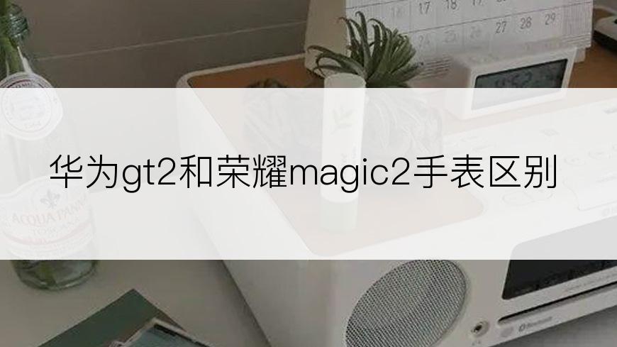 华为gt2和荣耀magic2手表区别