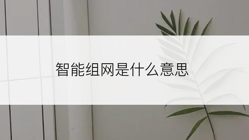 智能组网是什么意思