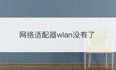 网络适配器wlan没有了