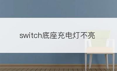 switch底座充电灯不亮