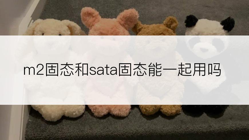 m2固态和sata固态能一起用吗