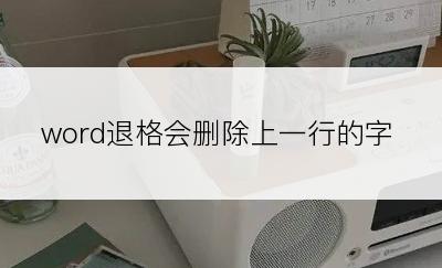 word退格会删除上一行的字