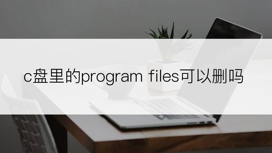 c盘里的program files可以删吗