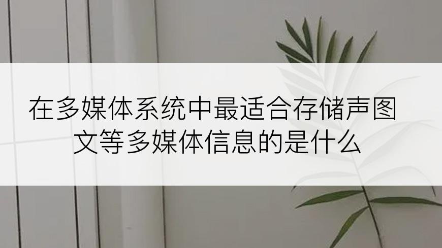 在多媒体系统中最适合存储声图文等多媒体信息的是什么