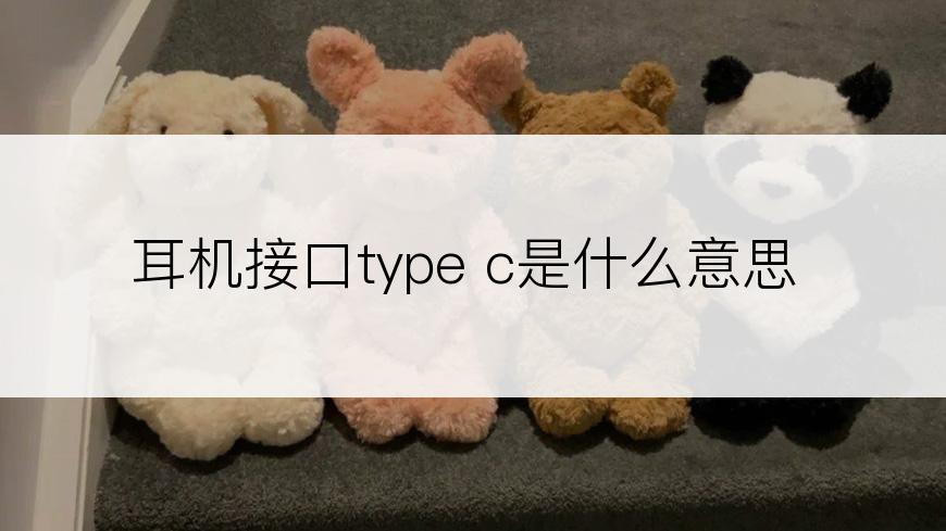 耳机接口type c是什么意思