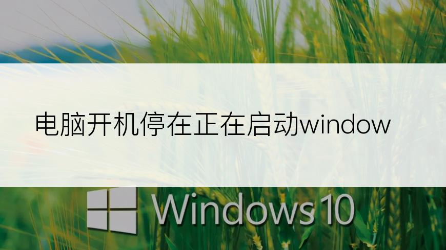 电脑开机停在正在启动windows