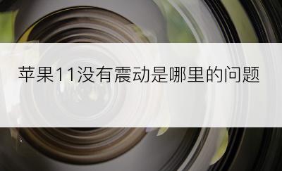 苹果11没有震动是哪里的问题