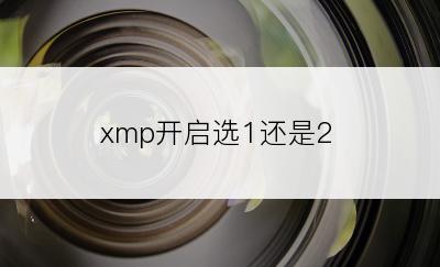 xmp开启选1还是2