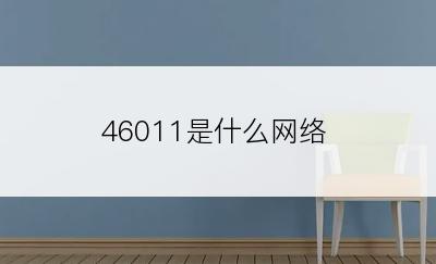 46011是什么网络