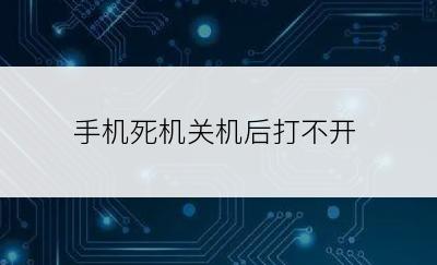 手机死机关机后打不开