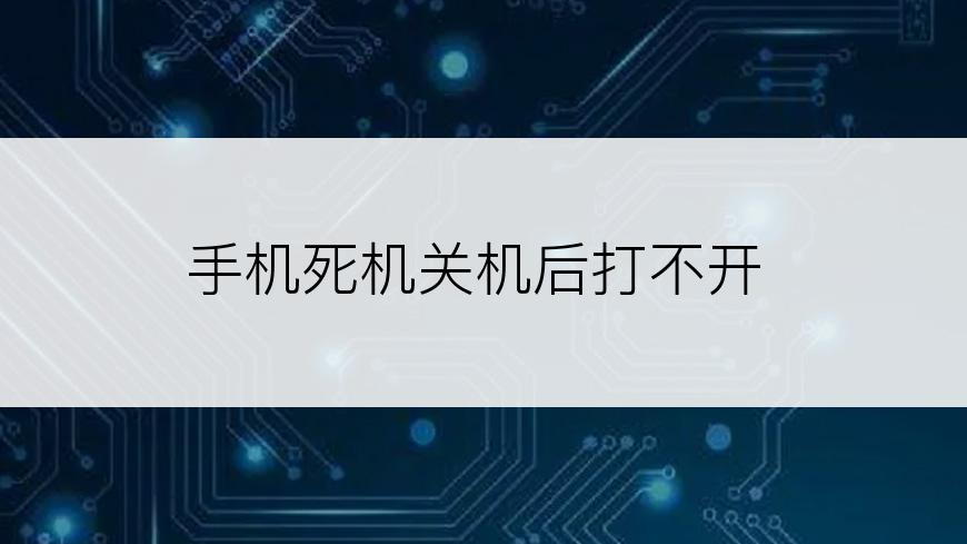 手机死机关机后打不开